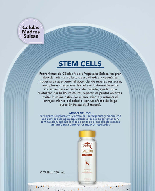 Células Madre ( Stem Cells)